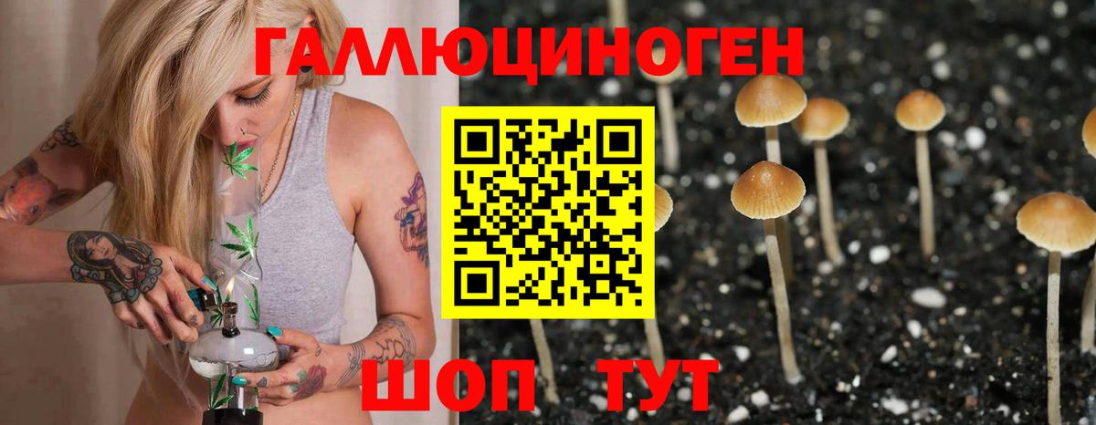 Корсаков  Псилоцибиновые грибы Psilocybine cubensis  Вход с VPN 